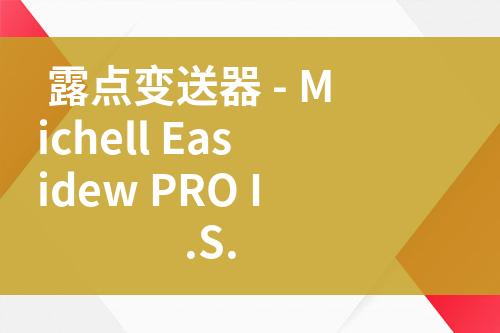 ${自定義變量_問題}